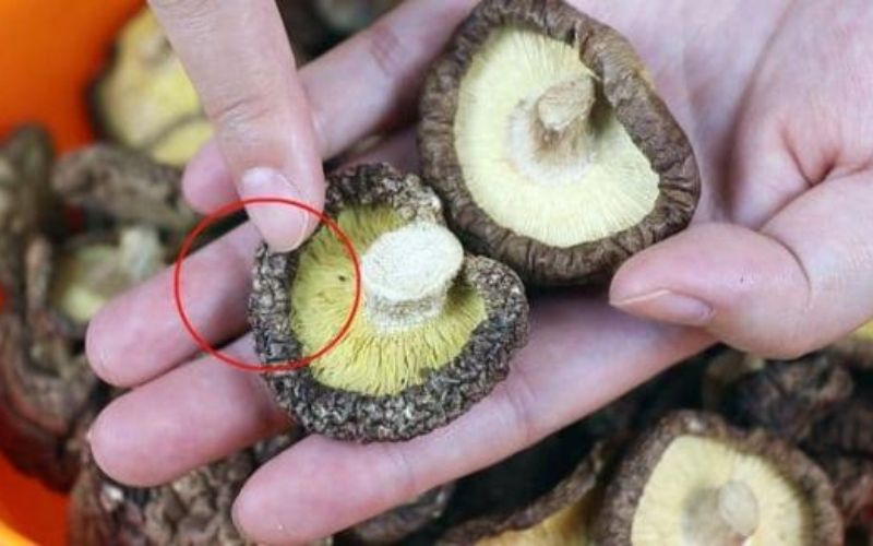 Bà chủ hàng đồ khô chia sẻ: Khi mua nấm hương khô người thông minh nên chú ý đến 5 điểm này- Ảnh 1. Bà chủ hàng đồ khô chia sẻ: Khi mua nấm hương khô người thông minh nên chú ý đến 5 điểm này- Ảnh 1.