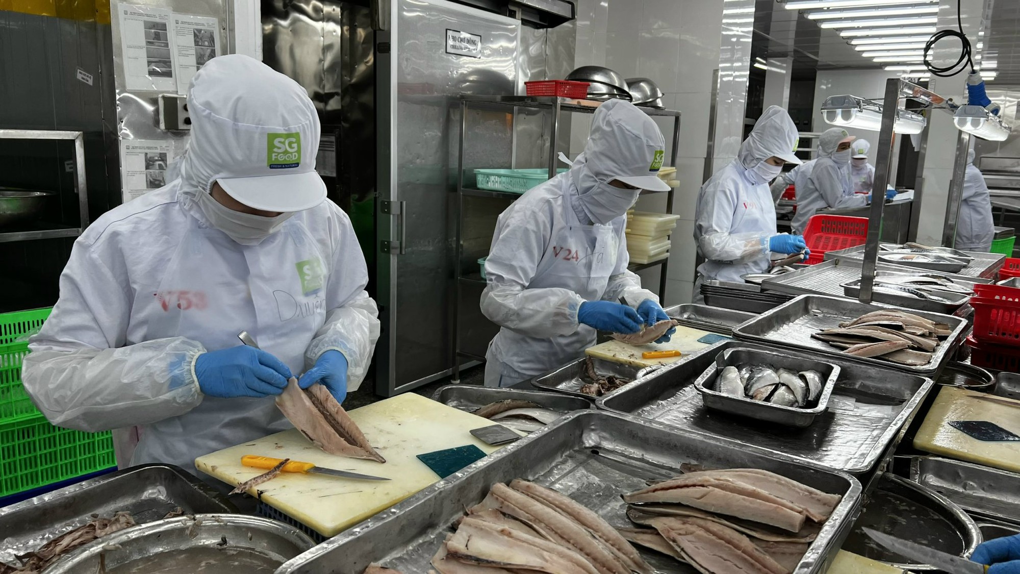 Chưa có quy định về việc hoán đổi số năm đóng BHXH để về hưu trước tuổi- Ảnh 1. Chưa có quy định về việc hoán đổi số năm đóng BHXH để về hưu trước tuổi- Ảnh 1.